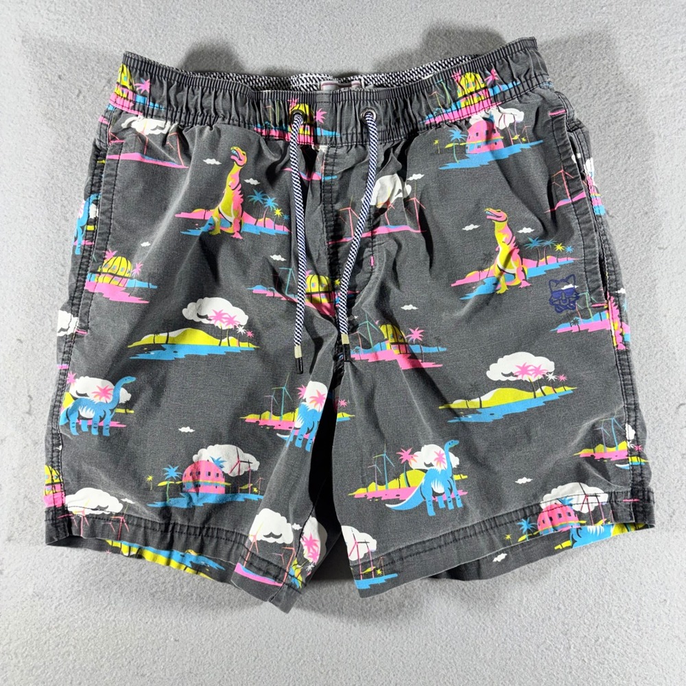 Party Pants Mens Small Gray Neon Dinosaur Tropical Print Swim Trunks Shorts
